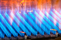 Cwmann gas fired boilers